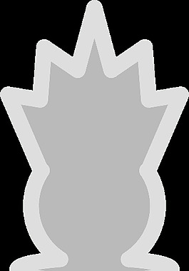 國際象棋5