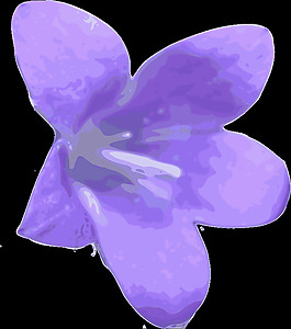 flower-03