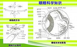 眼睛科學(xué)圖片