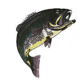 繡花 動物 魚 色彩 青色 免費素材