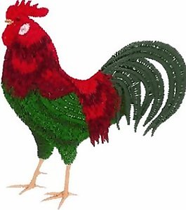 繡花 動物 公雞 色彩 綠色 免費素材