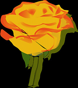 yellowrose