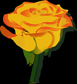 yellowrose3