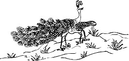 印花矢量圖 動(dòng)物 鳥類 孔雀 吉祥 免費(fèi)素材
