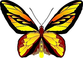 印花矢量圖 動物 蝴蝶 色彩 五顏六色 免費素材