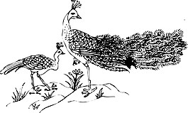 吉祥 免費(fèi)素材