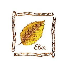 繡花 植物 樹(shù)葉 色彩 免費(fèi)素材
