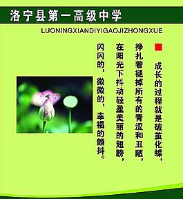 書香校園標語成長圖片