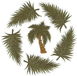 绣花 植物 椰子树 色彩 绿色 免费素材