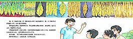 煙草科學烘烤圖片