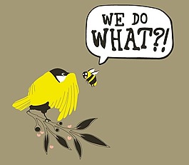 位圖 動物 蜜蜂 鳥 樹枝 免費(fèi)素材