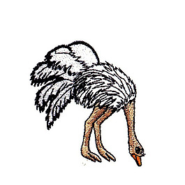 繡花 動(dòng)物 鳥(niǎo)類(lèi) 鴕鳥(niǎo) 色彩 免費(fèi)素材