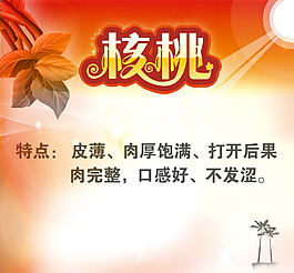 核桃設(shè)計(jì)椰子素材設(shè)計(jì)