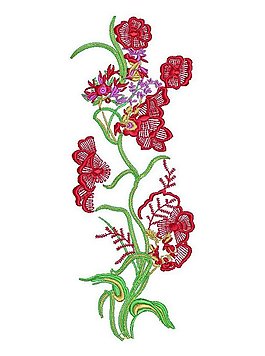 草花图片素材下载图片_草花图片素材下载素材_草花图片素材下载模板