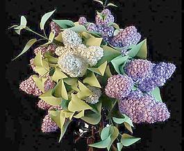 繡球莢蒾 花瓶  032（高精細(xì)模型）