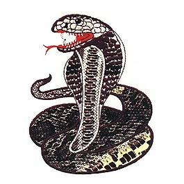 繡花 動物 蛇 蟒蛇 色彩 免費素材
