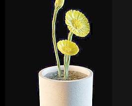 精品花瓶17 菊花