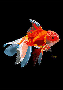 印花矢量圖 動物 色彩 橙色 黃色 免費素材