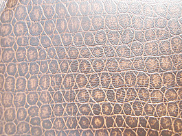 leaves_texture