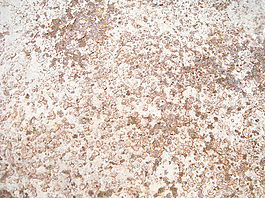 rustic_texture