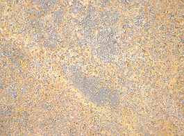 rustic_grunge_sheet