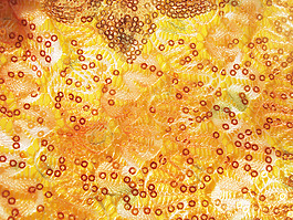 embroidery_texture