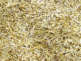straw_texture
