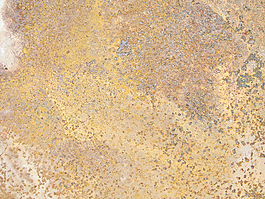 patina_texture