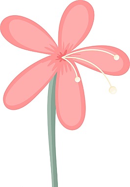 紅雛菊