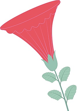 紅色的裝飾花