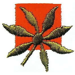 繡花 植物 草 色彩 綠色 免費(fèi)素材