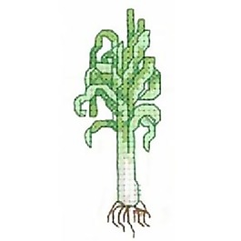 繡花 植物 色彩 綠色 蔬菜 免費(fèi)素材