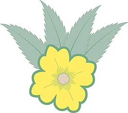 黃色的花與葉
