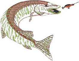 繡花 動(dòng)物 魚(yú) 色彩 免費(fèi)素材