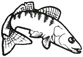 繡花 動物 魚 色彩 黑色 免費素材