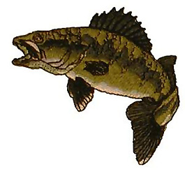 繡花 動(dòng)物 魚(yú) 色彩 吉祥 免費(fèi)素材