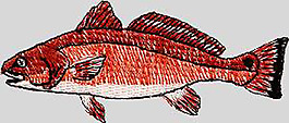 繡花 動(dòng)物 魚(yú) 色彩 吉祥 免費(fèi)素材