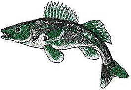 繡花 色彩 綠色 動(dòng)物 魚 免費(fèi)素材