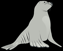 海獅