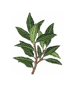 繡花 植物 樹 色彩 樹葉 免費(fèi)素材