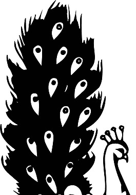 印花矢量圖 動物 孔雀 色彩 黑色 免費素材