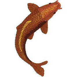 繡花 鯉魚(yú) 棕色 觀賞魚(yú) 可愛(ài) 免費(fèi)素材
