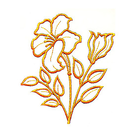 绣花 花 金黄色 园林 芳香 免费素材