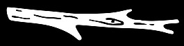 堅(jiān)持