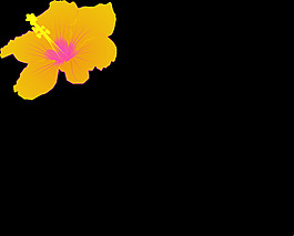 芙蓉