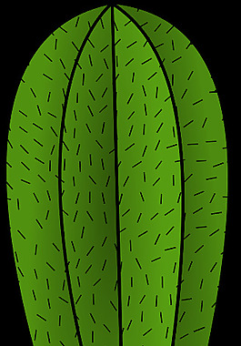 仙人掌