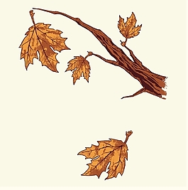 位圖 優(yōu)雅植物 樹 樹葉 楓葉 免費(fèi)素材