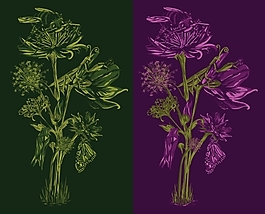 位圖 動(dòng)物 蝗蟲(chóng) 優(yōu)雅植物 樹(shù) 免費(fèi)素材