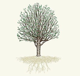 位圖 優(yōu)雅植物 樹 草 樹葉 免費(fèi)素材