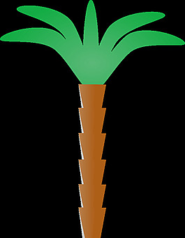 棕榈